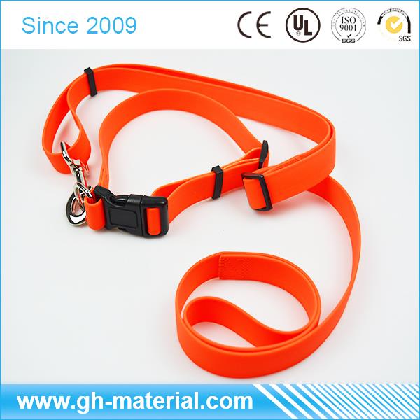 perro leash-01.jpg dog leash-01.jpg