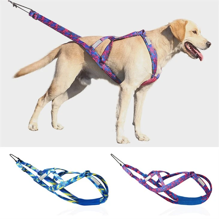 Arnés de trineo para perros para tirar