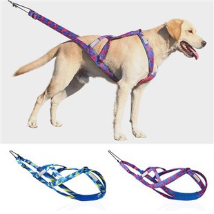 Arnés de trineo para perros para tirar