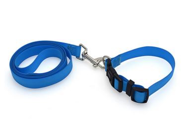 El animal doméstico durable fuerte más nuevo de la correa del perro de la longitud de los 4ft suministra el collar