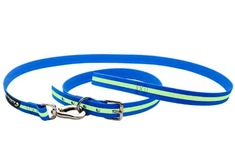 Collar para perros y correa para perros innovadores