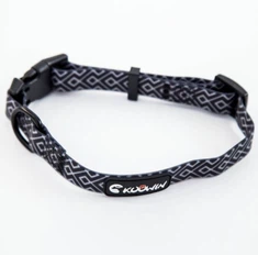 Collar de perro y correa Nuevo llegado