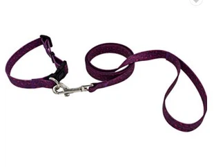 Juego de correas y correas para perros Leopardo, sin olor, a prueba de agua, duradero y resistente