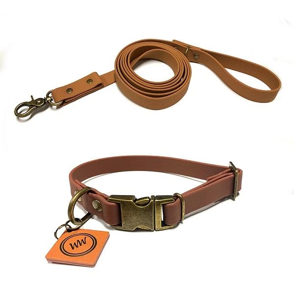 Mejor collar de cachorro y plomo