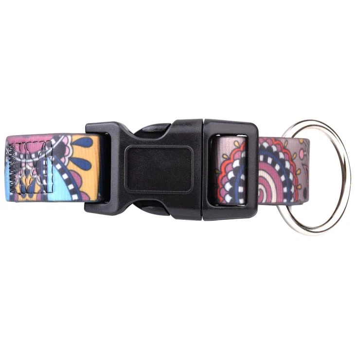 Premium Quality PVC Coated Webbing Silicone Dog Leash