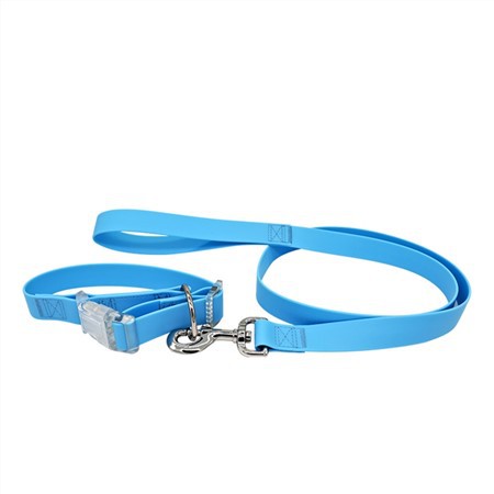 Collares y correas personalizados para mascotas