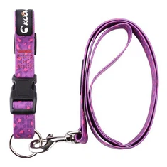 Juego de hebilla y correa para collares de perro ecológicos de fácil liberación